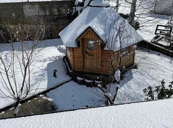 Vila House Abies Ravna Gora
